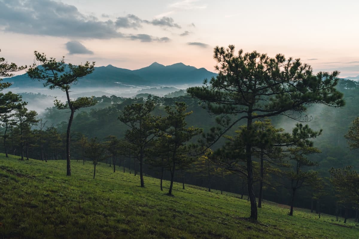 How to Travel Dalat on a Shoestring Budget (2026)