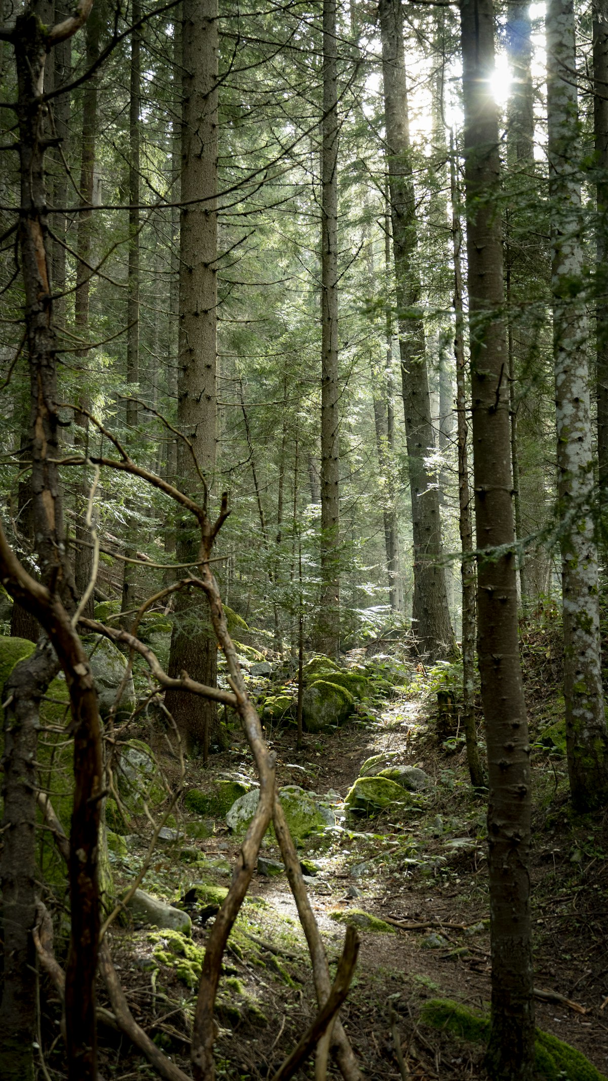 Digital Nomad Guide to Bansko: Work & Travel in 2026