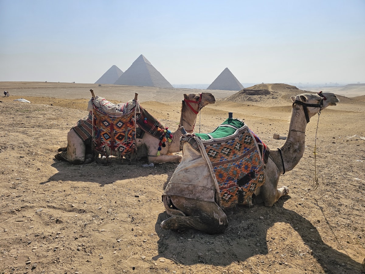 How to Travel Cairo on a Shoestring Budget (2026)