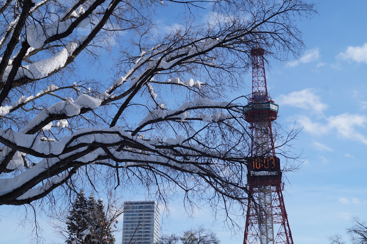 Epic Adventures in Sapporo: A Thrill-Seeker's Guide